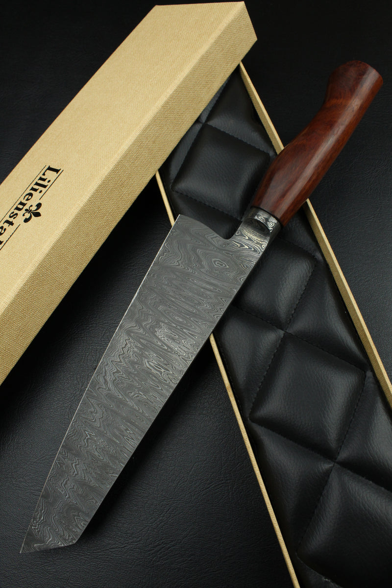 Gyuto 220 Snakewood