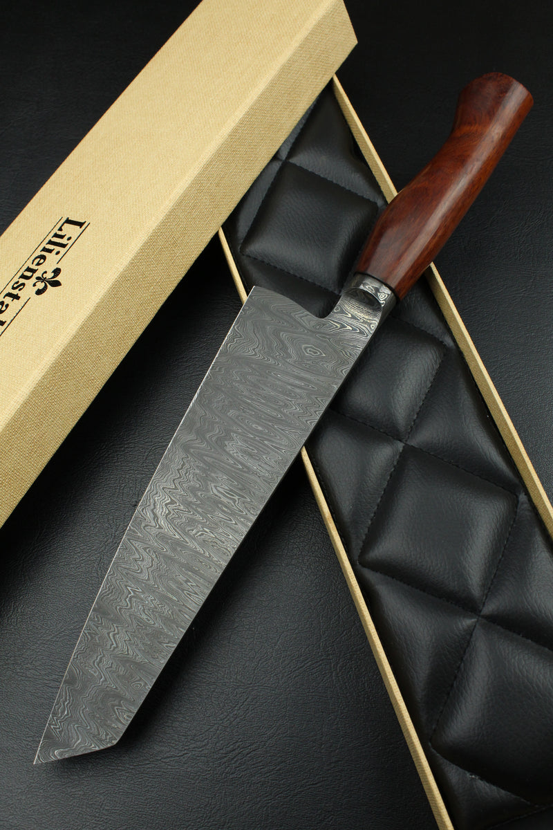 Gyuto 220 Snakewood